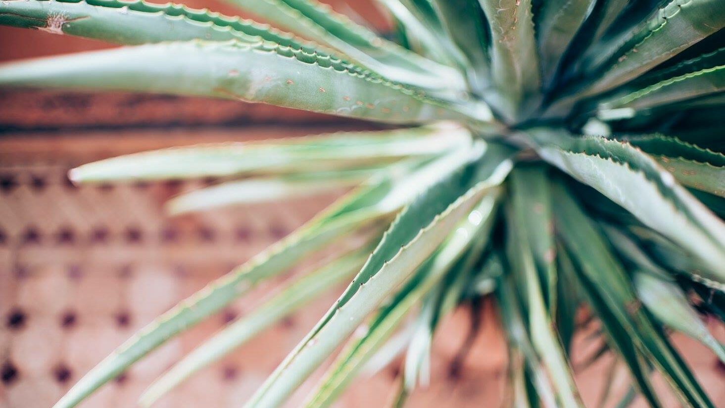 reisfotografie uitrusting tips