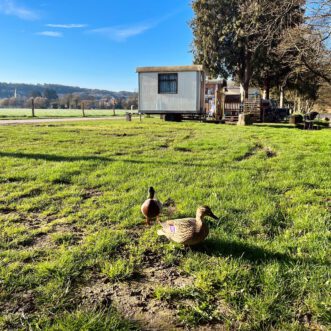 Kamperen in Nederland voor beginners